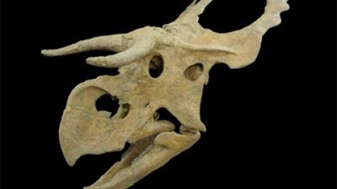 548b6c4265a36.jpg 548b6c4265a36.jpg