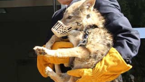 548aeec95f0bd.jpg 548aeec95f0bd.jpg