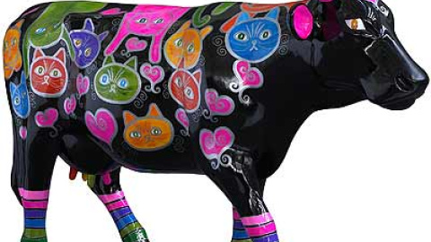 548c9c871810a.jpg 548c9c871810a.jpg