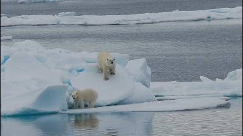 548aef05ac183.jpg 548aef05ac183.jpg