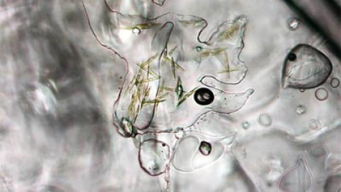 548b47ab895f6.jpg 548b47ab895f6.jpg