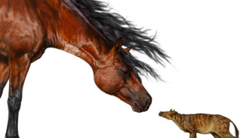 548b1b7b826f2.jpg 548b1b7b826f2.jpg