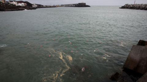 548aef9ad0e6b.jpg 548aef9ad0e6b.jpg