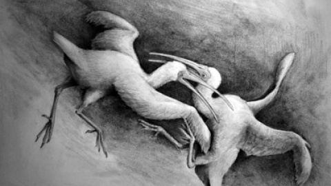 548bfc9b66002.jpg 548bfc9b66002.jpg