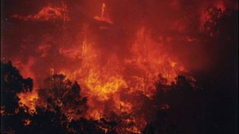 548af126b27ab.jpg 548af126b27ab.jpg