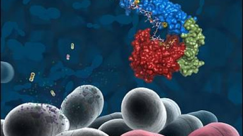 548ba60af1add.jpg 548ba60af1add.jpg