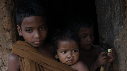 548bd40ad17a1.jpg 548bd40ad17a1.jpg