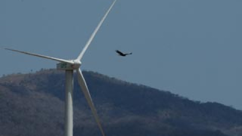 548c2c66c66b0.jpg 548c2c66c66b0.jpg