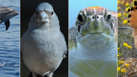 548ba77a75523.jpg 548ba77a75523.jpg