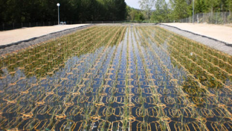 548c2f02b76c4.jpg 548c2f02b76c4.jpg