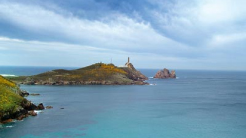 548ba9d26efd8.jpg 548ba9d26efd8.jpg