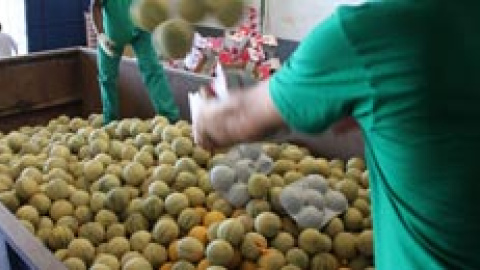 548c30399118b.jpg 548c30399118b.jpg