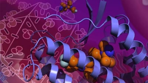 548b7275d3a56.jpg 548b7275d3a56.jpg