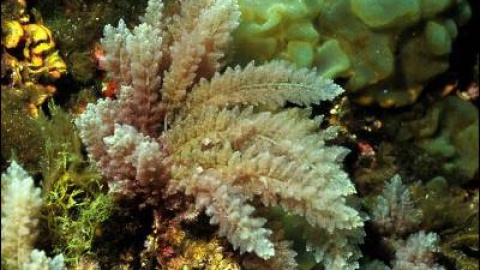 548ca3e1f38fb.jpg 548ca3e1f38fb.jpg