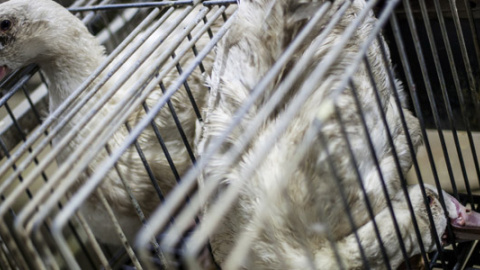 548b4dc5d92ec.jpg 548b4dc5d92ec.jpg