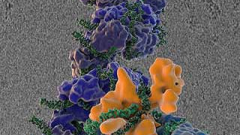 548b4ddb31a26.jpg 548b4ddb31a26.jpg