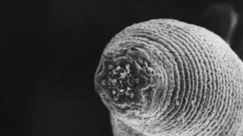 548c30bd35ed3.jpg 548c30bd35ed3.jpg