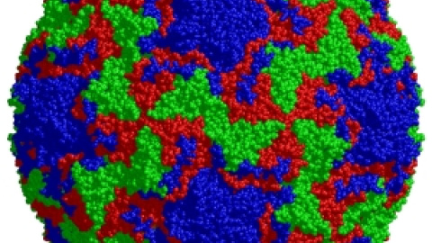 548c7553029df.jpg 548c7553029df.jpg