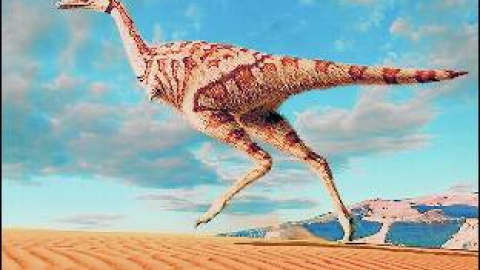 548c036e11d28.jpg 548c036e11d28.jpg