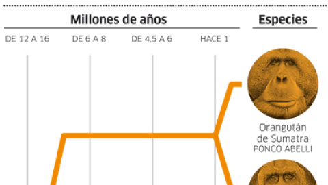 548c04552d18d.jpg 548c04552d18d.jpg