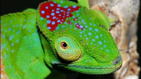 548c325f73b70.jpg 548c325f73b70.jpg