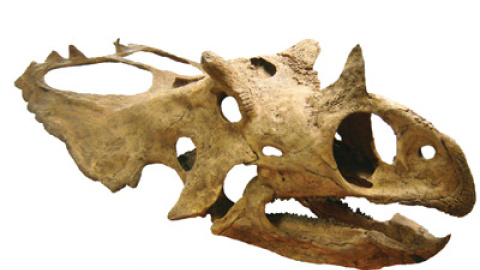 548bda222d4b5.jpg 548bda222d4b5.jpg