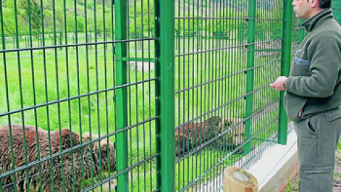 548ca677386cd.jpg 548ca677386cd.jpg