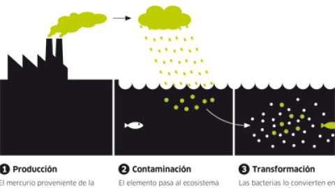 548c05057d829.jpg 548c05057d829.jpg