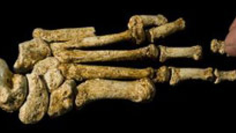 548ca70422560.jpg 548ca70422560.jpg