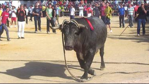 548bdac07ff41.jpg 548bdac07ff41.jpg