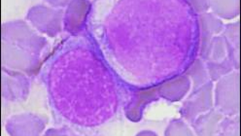 548c7800d1aef.jpg 548c7800d1aef.jpg