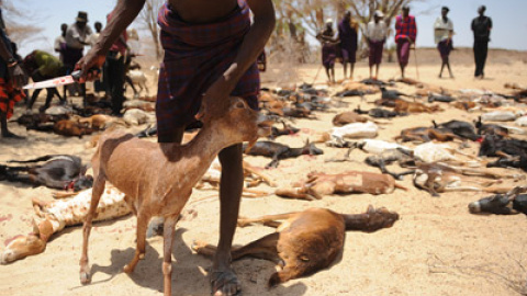 548c353f9fec1.jpg 548c353f9fec1.jpg