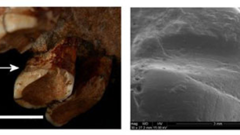 548b77a71504a.jpg 548b77a71504a.jpg