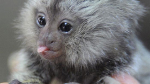 548b77b497aad.jpg 548b77b497aad.jpg