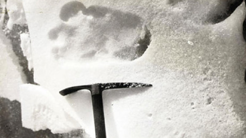 548b77b73024e.jpg 548b77b73024e.jpg