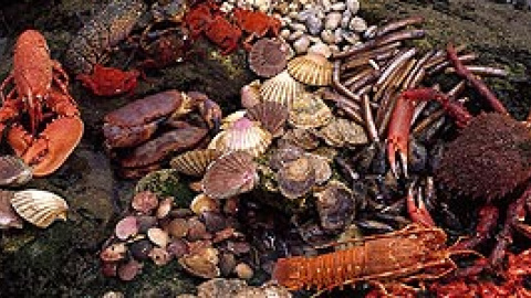 548bddcd085e5.jpg 548bddcd085e5.jpg