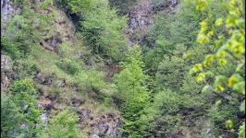 548cab9d9a195.jpg 548cab9d9a195.jpg