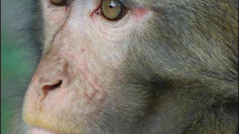 548cac091713a.jpg 548cac091713a.jpg