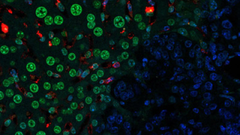 548cae4449e6a.jpg 548cae4449e6a.jpg