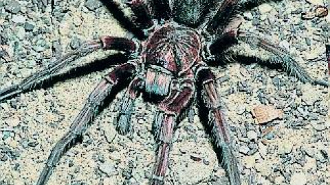 548cac9081799.jpg 548cac9081799.jpg