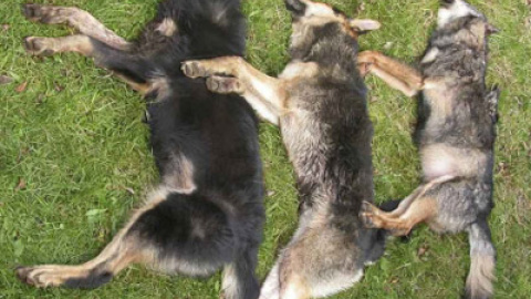 548b7b232ea2e.jpg 548b7b232ea2e.jpg