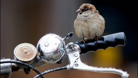 548c38bb68b30.jpg 548c38bb68b30.jpg