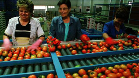 548b7b65491b3.jpg 548b7b65491b3.jpg