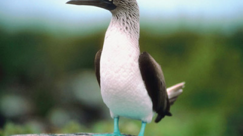 548c394ec2b6a.jpg 548c394ec2b6a.jpg