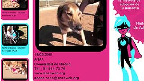 548c7ee8245de.jpg 548c7ee8245de.jpg