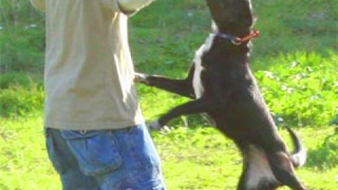 548b7c79317e1.jpg 548b7c79317e1.jpg