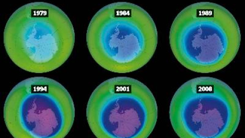 548ce3c80fc12.jpg 548ce3c80fc12.jpg