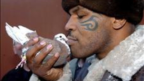 54a1521b35d93.jpg 54a1521b35d93.jpg