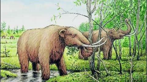 548d15f0b84c5.jpg 548d15f0b84c5.jpg