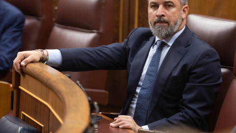 El líder de Vox, Santiago Abascal, durante una sesión plenaria, en el Congreso de los Diputados. El líder de Vox, Santiago Abascal, durante una sesión plenaria, en el Congreso de los Diputados.